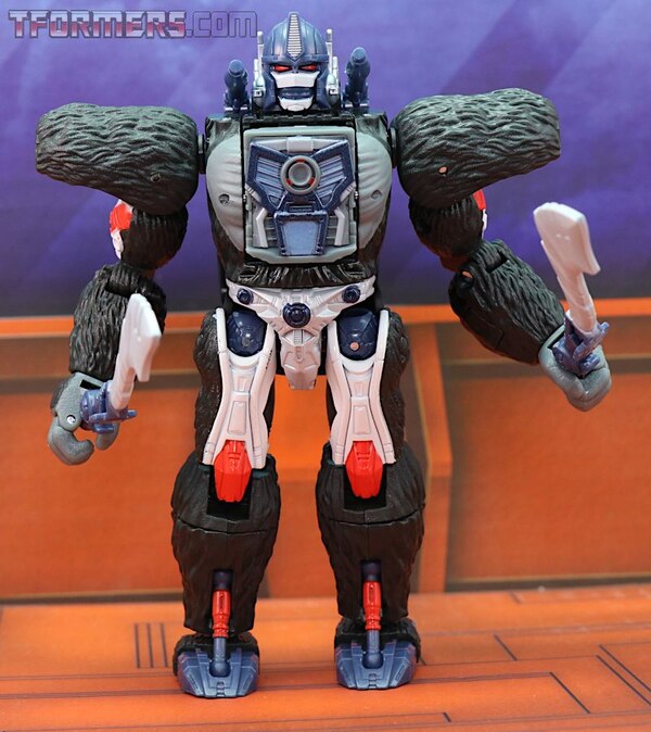 Transformers Kingdom Wave 1 Optimus Primal  (1 of 55)